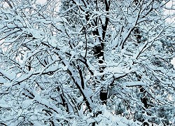 Greg's Christmas Puzzles - SNOW!